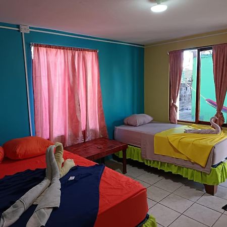 Cabinas Miss Miriam 2 托尔图格罗 外观 照片